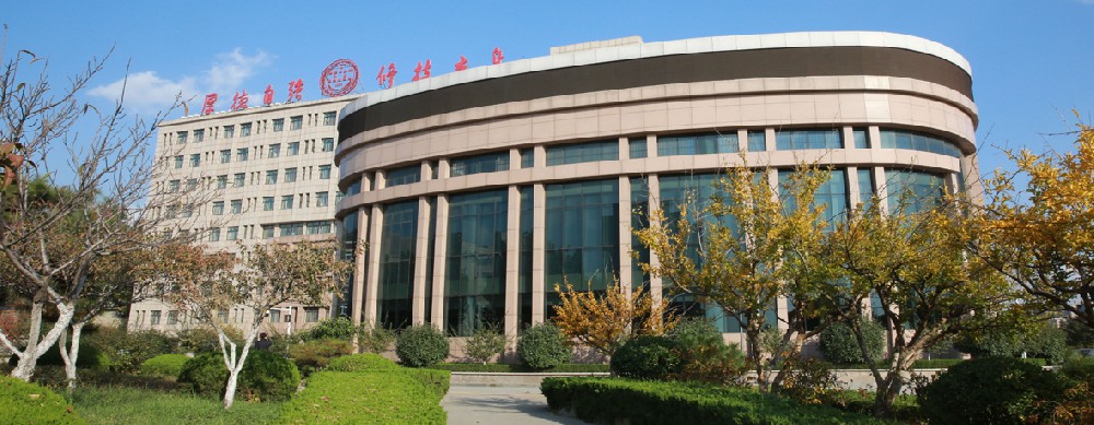 师资队伍-山东特殊教育职业学院—教务处