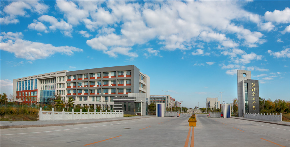 潍坊职业学院：传承地域传统文化 助力文化城市建设-宁夏新闻网