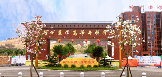 梧州医学高等专科学校什么级别？附排名、学费等信息-高考100