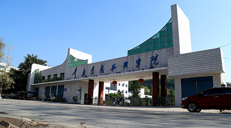 重庆信息技术职业学院-中国高校库-高校之窗